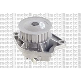 Pompe À Eau Metelli 24-0676