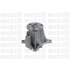 Pompe À Eau Metelli 24-1048
