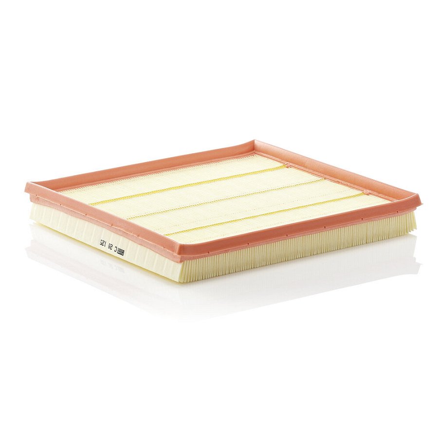 Filtre À Air Mann-filter C28125