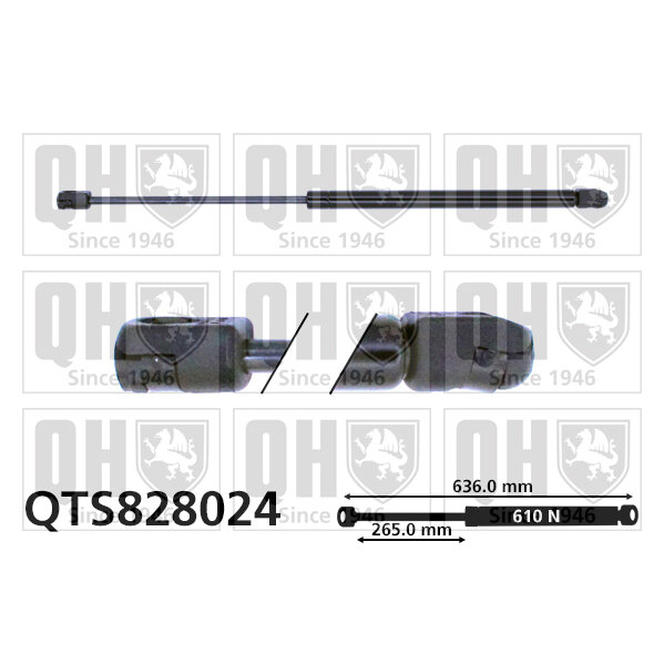 Vérin De Coffre Quinton Hazell Qts828024