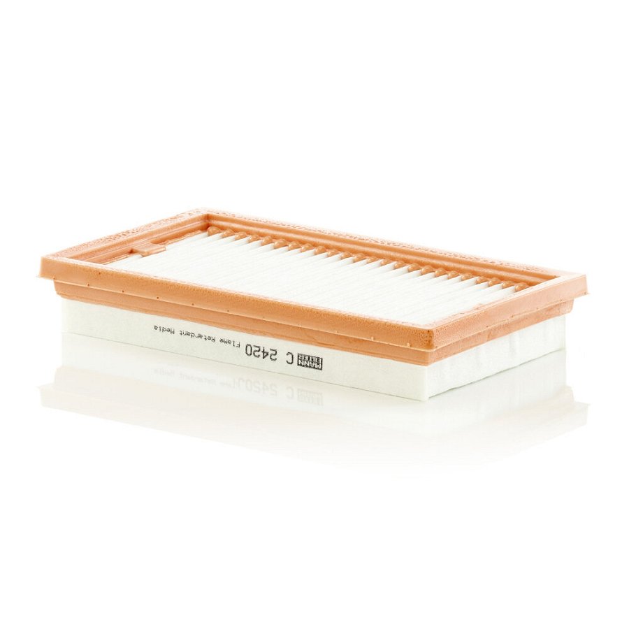 Filtre À Air Mann-filter C2420