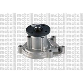 Pompe À Eau Metelli 24-1179