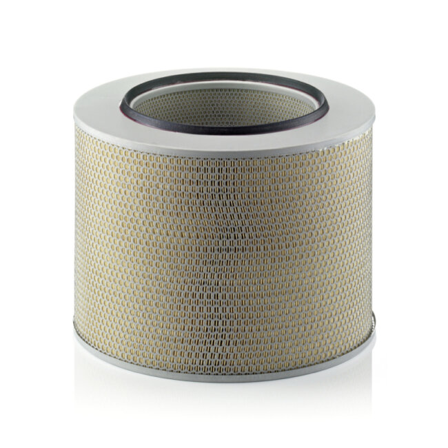 Filtre À Air Mann-filter C421729