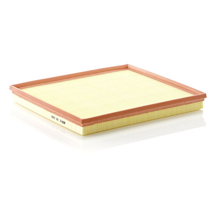 Filtre À Air Mann-filter C35009