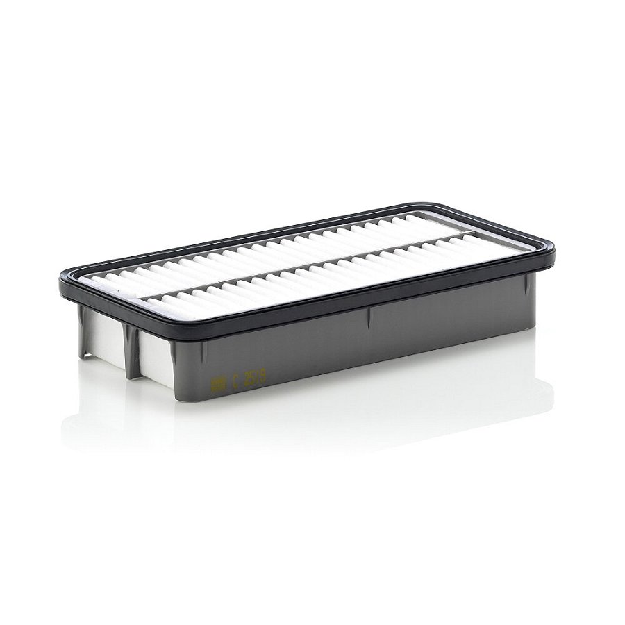 Filtre À Air Mann-filter C2519
