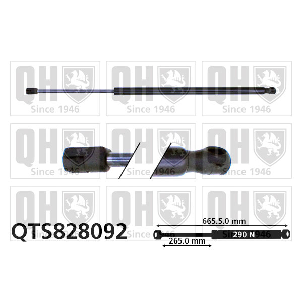 Vérin De Coffre Quinton Hazell Qts828092