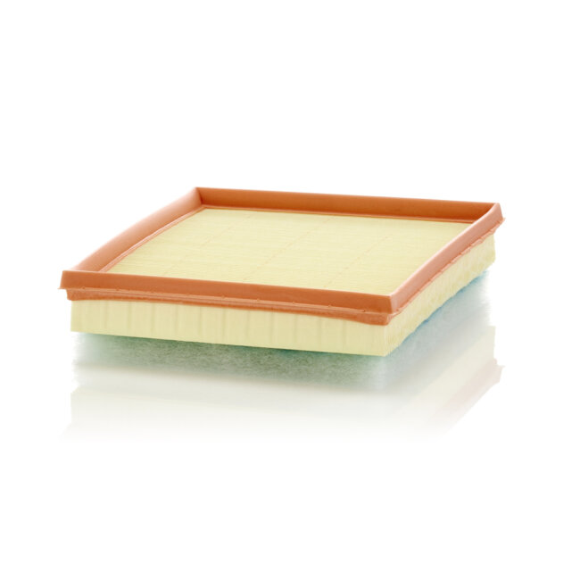 Filtre À Air Mann-filter C24017