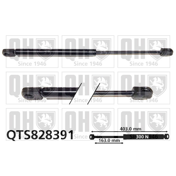 Vérin De Coffre Quinton Hazell Qts828391