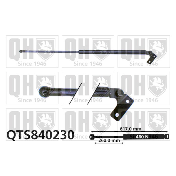Vérin De Coffre Quinton Hazell Qts840230