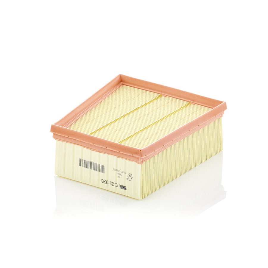 Filtre À Air Mann-filter C22026