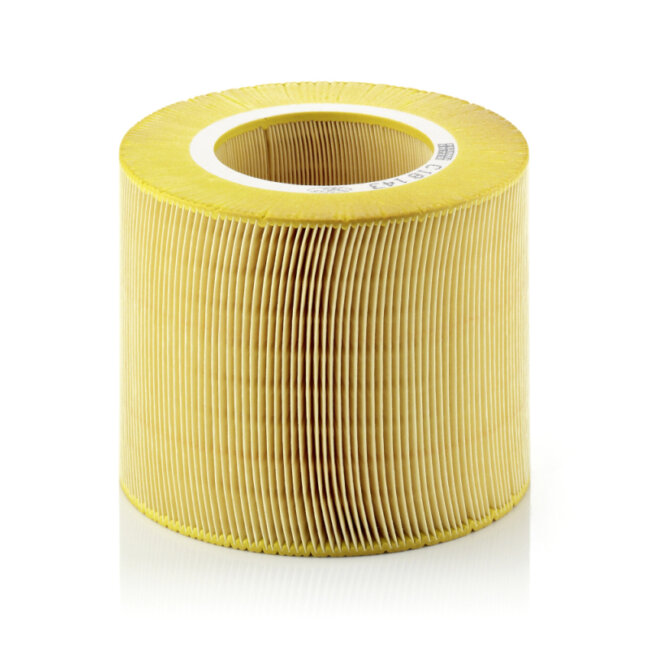 Filtre À Air Mann-filter