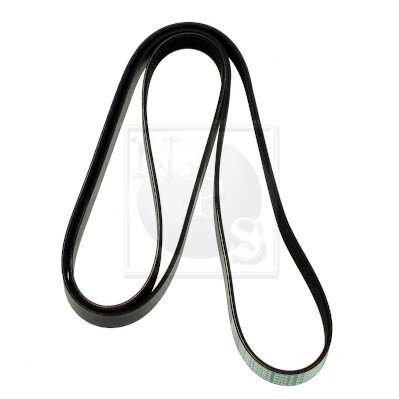 Courroie D'accessoires Nps S111g07