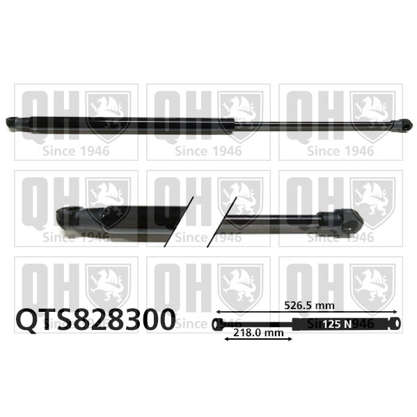 Vérin De Vitre Arrière Quinton Hazell Qts828300