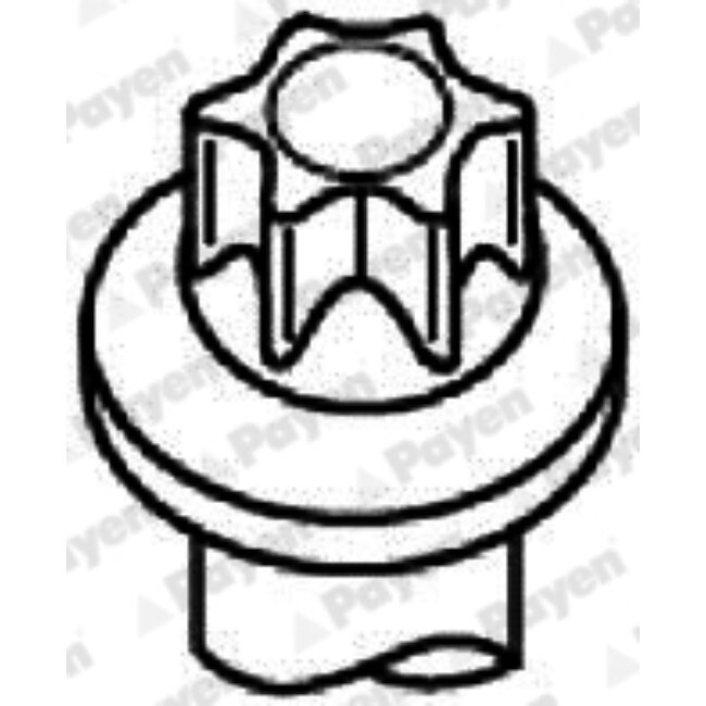 Jeu De Vis De Culasse Payen Hbs066