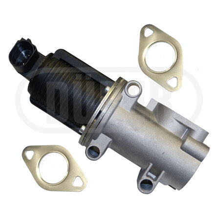 Vanne Egr Dürer Vr31119