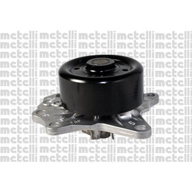 Pompe À Eau Metelli 24-1094