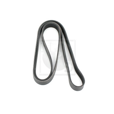 Courroie D'accessoires Nps T111a67