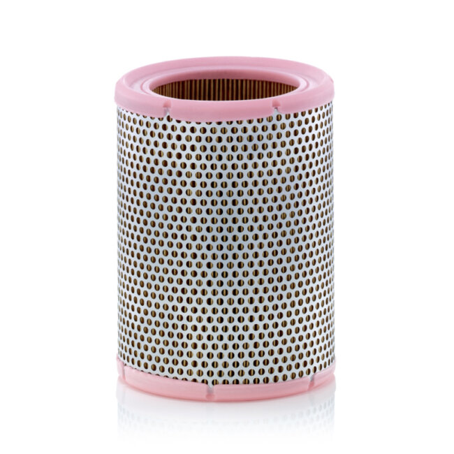 Filtre À Air Mann-filter