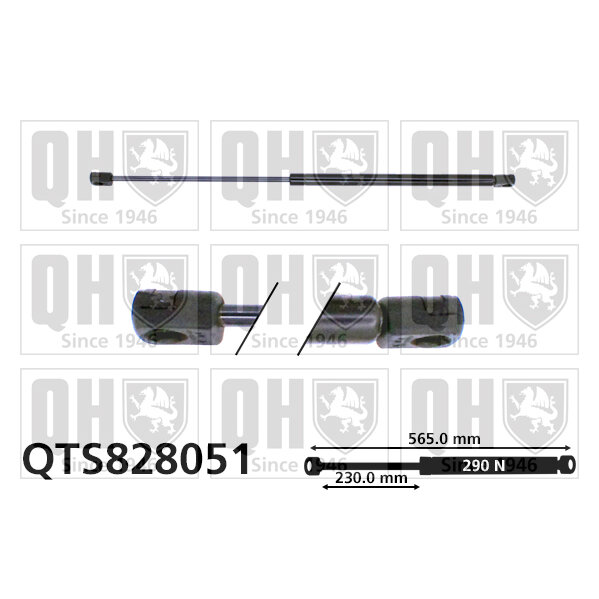 Vérin De Capot Quinton Hazell Qts828051