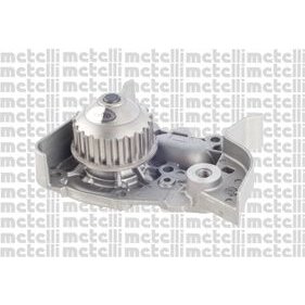 Pompe À Eau Metelli 24-0633