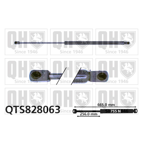 Vérin De Coffre Quinton Hazell Qts828063