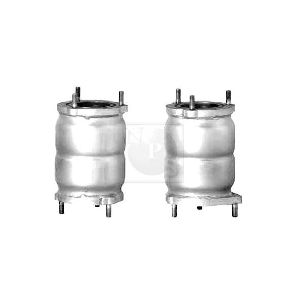Catalyseur Nps D431o05