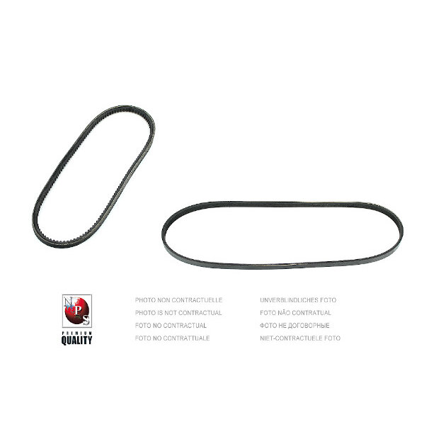 Courroie D'accessoires Nps T111a84