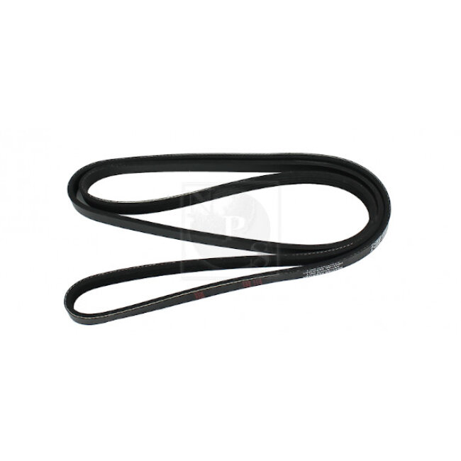 Courroie D'accessoires Nps T111a81