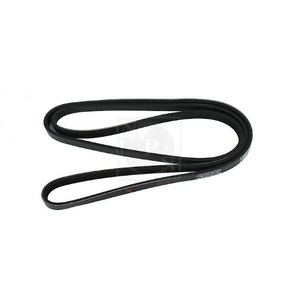 Courroie D'accessoires Nps T111a81
