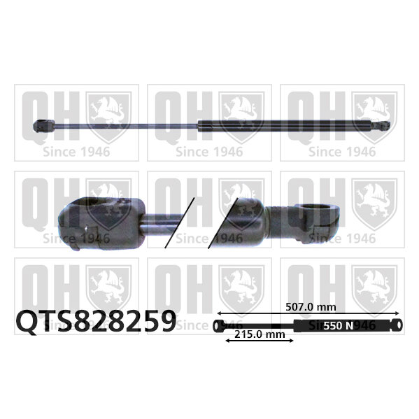 Vérin De Coffre Quinton Hazell Qts828259
