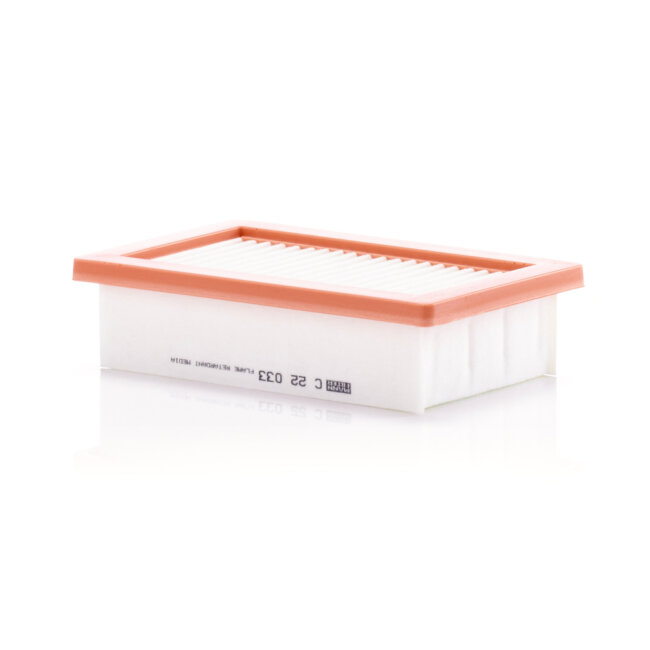 Filtre À Air Mann-filter C22033