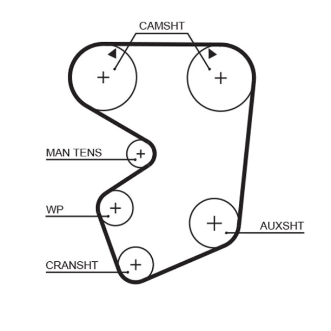 Courroie De Distribution Gates 5013
