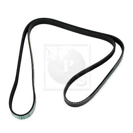 Courroie D'accessoires Nps S111i51