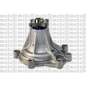 Pompe À Eau Metelli 24-1055
