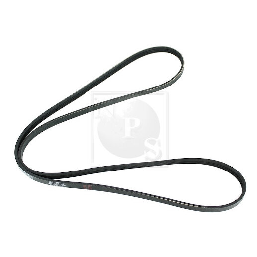 Courroie D'accessoires Nps T111a38