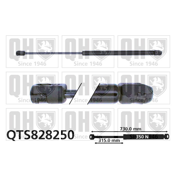 Vérin De Capot Quinton Hazell Qts828250