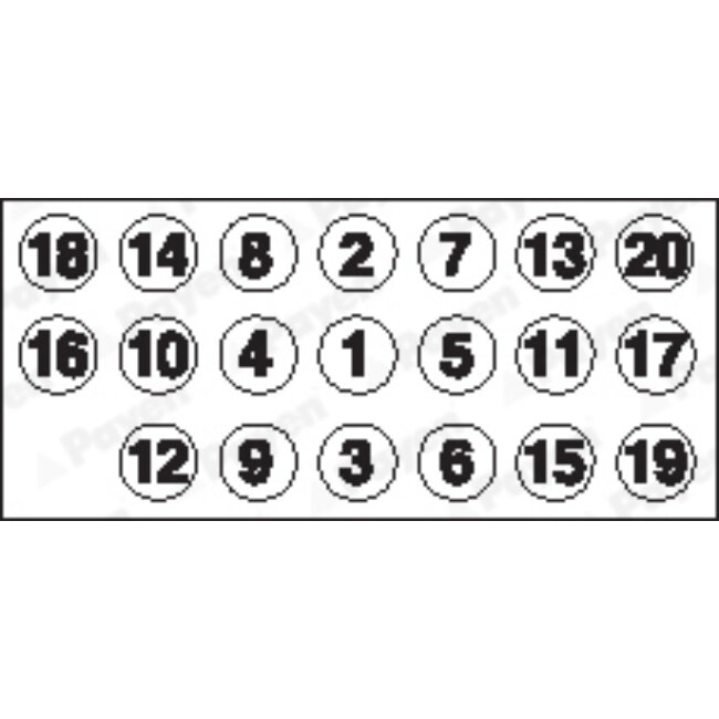 Jeu De Vis De Culasse Payen Hbs077