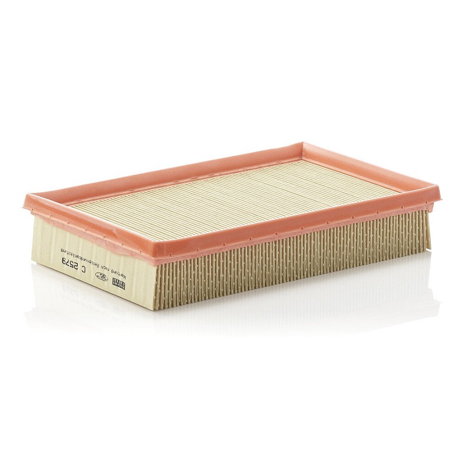 Filtre À Air Mann-filter C2579