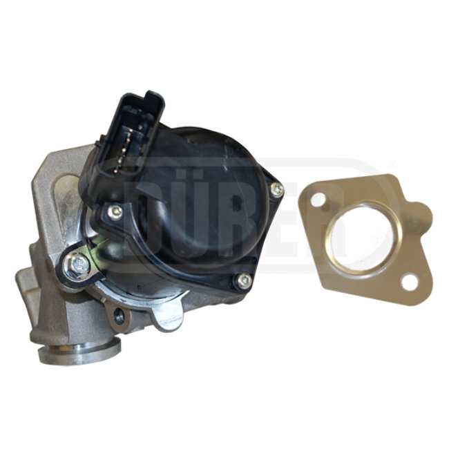 Vanne Egr Dürer Vr21143