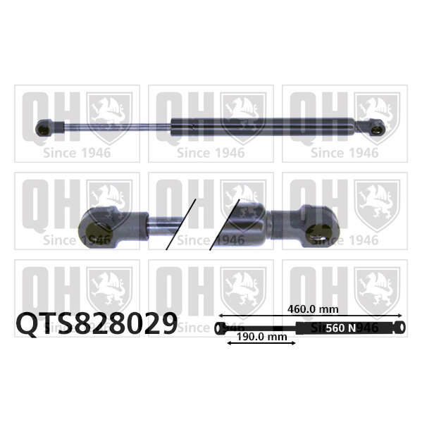 Vérin De Coffre Quinton Hazell Qts828029