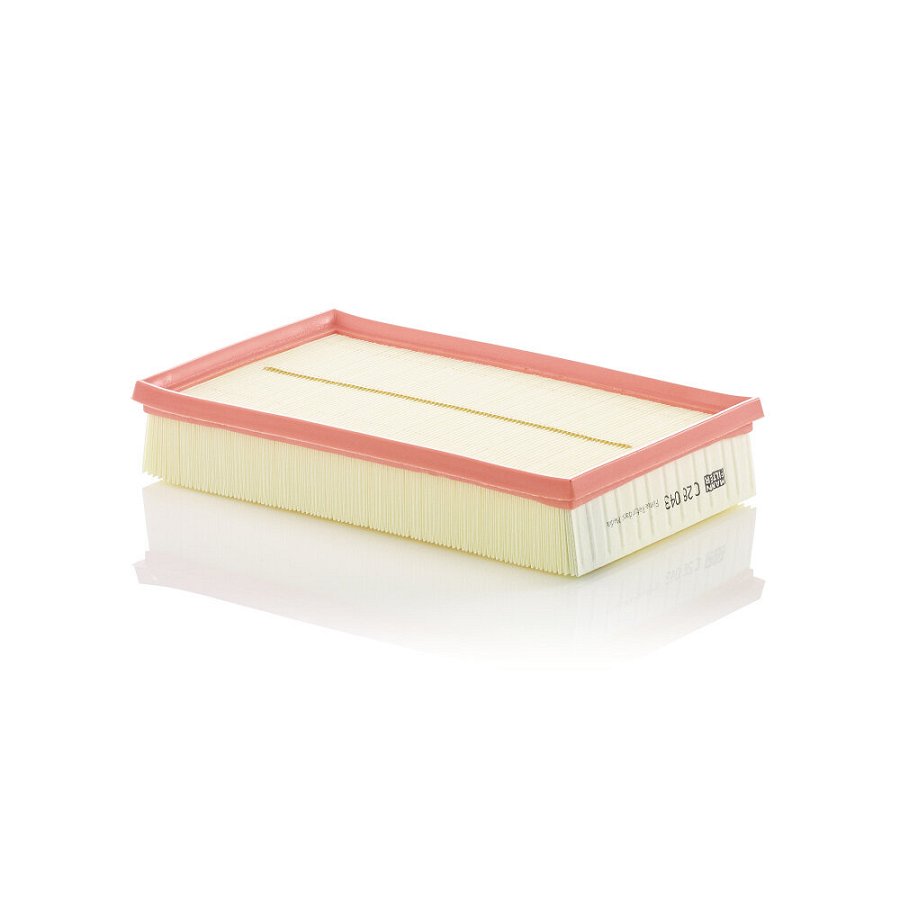 Filtre À Air Mann-filter C28043