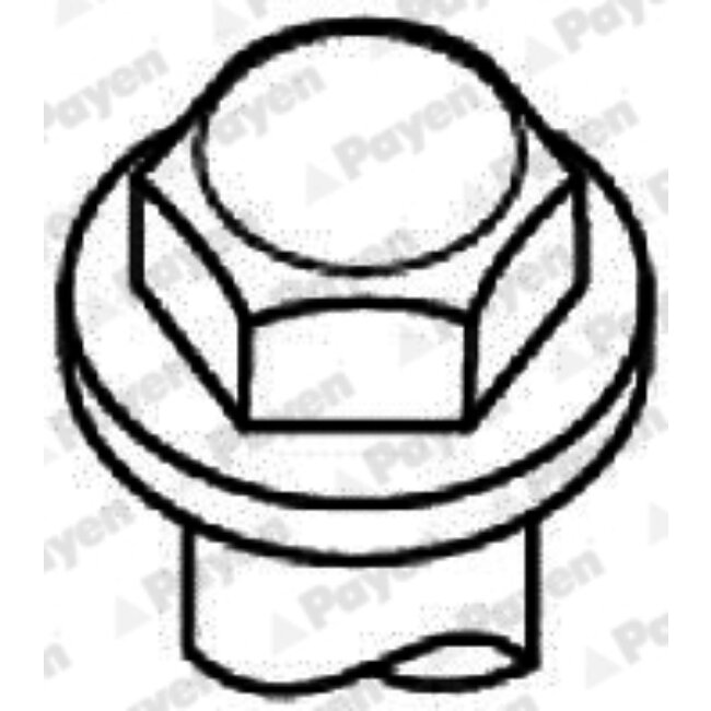 Jeu De Vis De Culasse Payen Hbs303