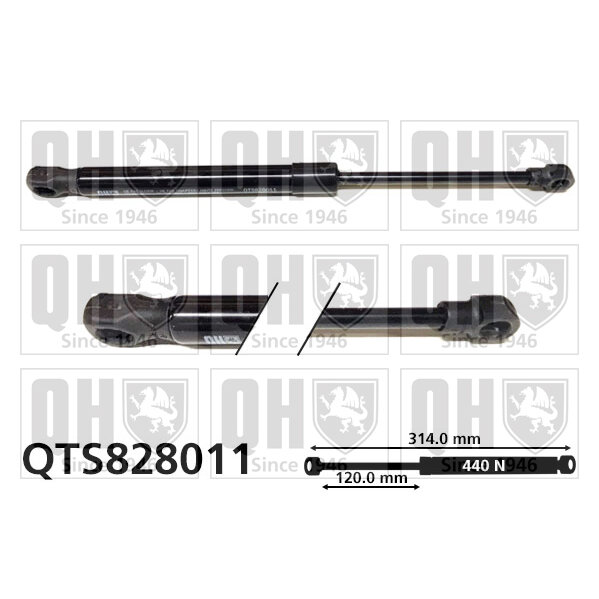 Vérin De Capot Quinton Hazell Qts828011