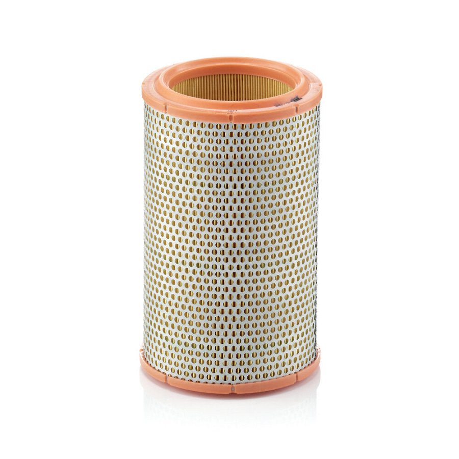 Filtre À Air Mann-filter C1387