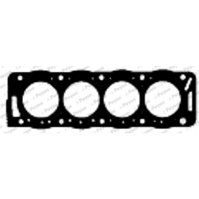 Joint De Culasse Payen Bx900