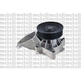 Pompe À Eau Metelli 24-1126