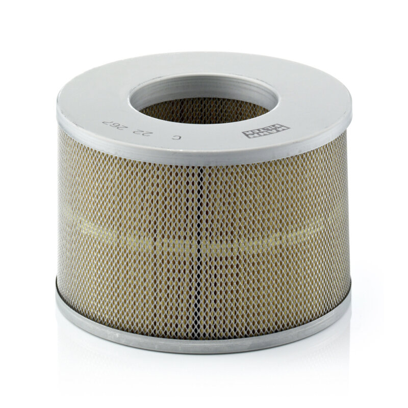 Filtre À Air Mann-filter C22267
