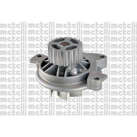 Pompe À Eau Metelli 24-0758
