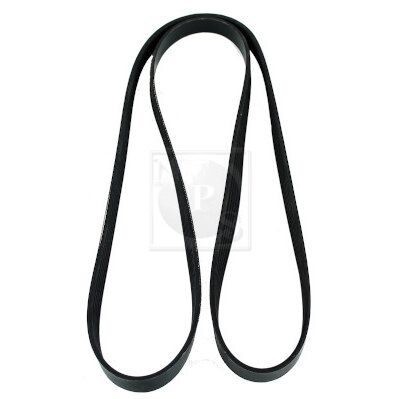 Courroie D'accessoires Nps D111o02