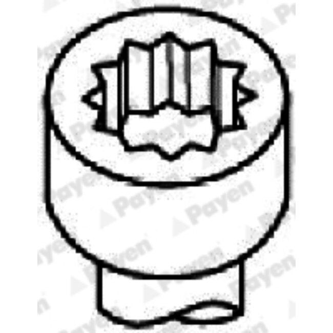 Jeu De Vis De Culasse Payen Hbs312